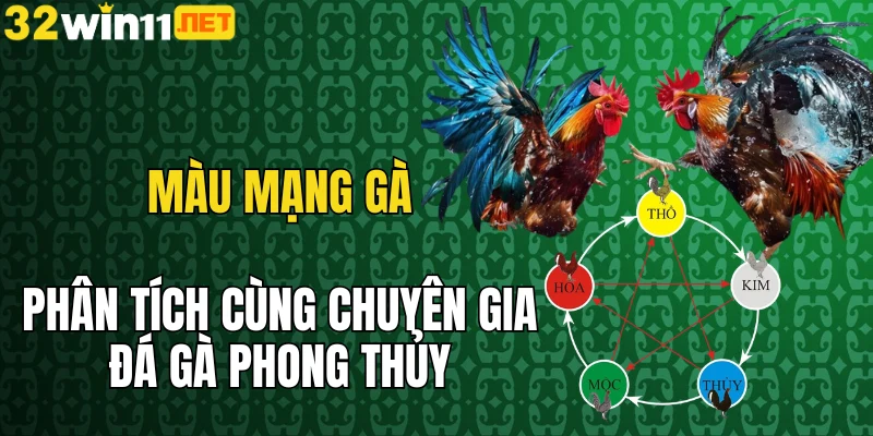 màu mạng gà 32win