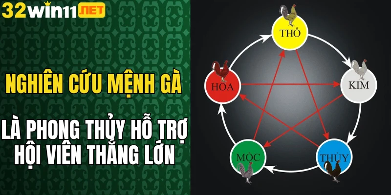 Nghiên cứu mệnh gà là phong thủy hỗ trợ hội viên thắng lớn