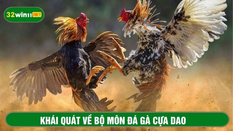 Khái quát về bộ môn đá gà cựa dao