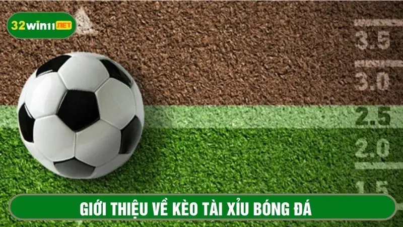 Khái quát thông tin về kèo tài xỉu cho người mới